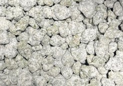 Photograph of product: Red Runtz Snowcaps by Green Dolphin