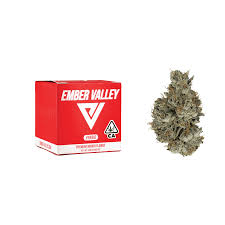 Photograph of product: LA RUNTZ