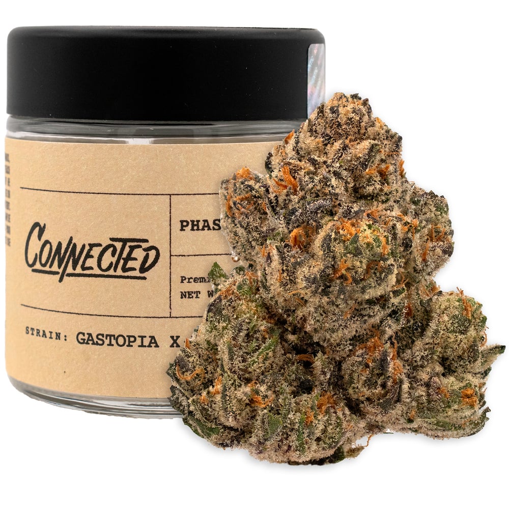Photograph of product: GASTOPIA X LEMON FUEL #15 3.5G FLOWER