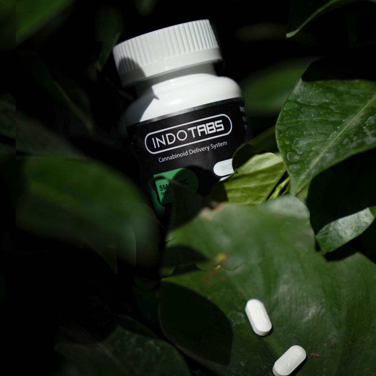 Photograph of product: IndoTabs | CBD Capsules 40pk 2000mg