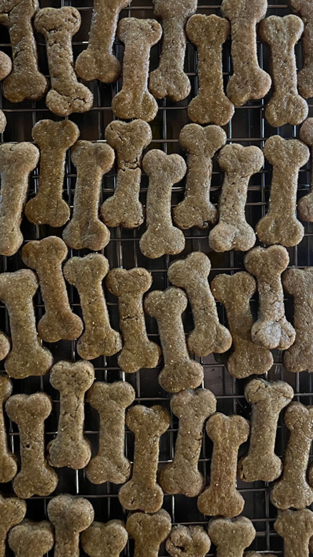Photograph of product: Good, Good. CBD Dog Treats- Peanut Butter Flavor