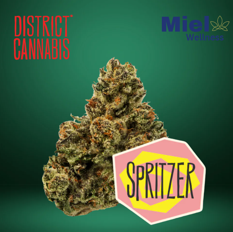 Photograph of product: Spritzer | Flower | 3.5g
