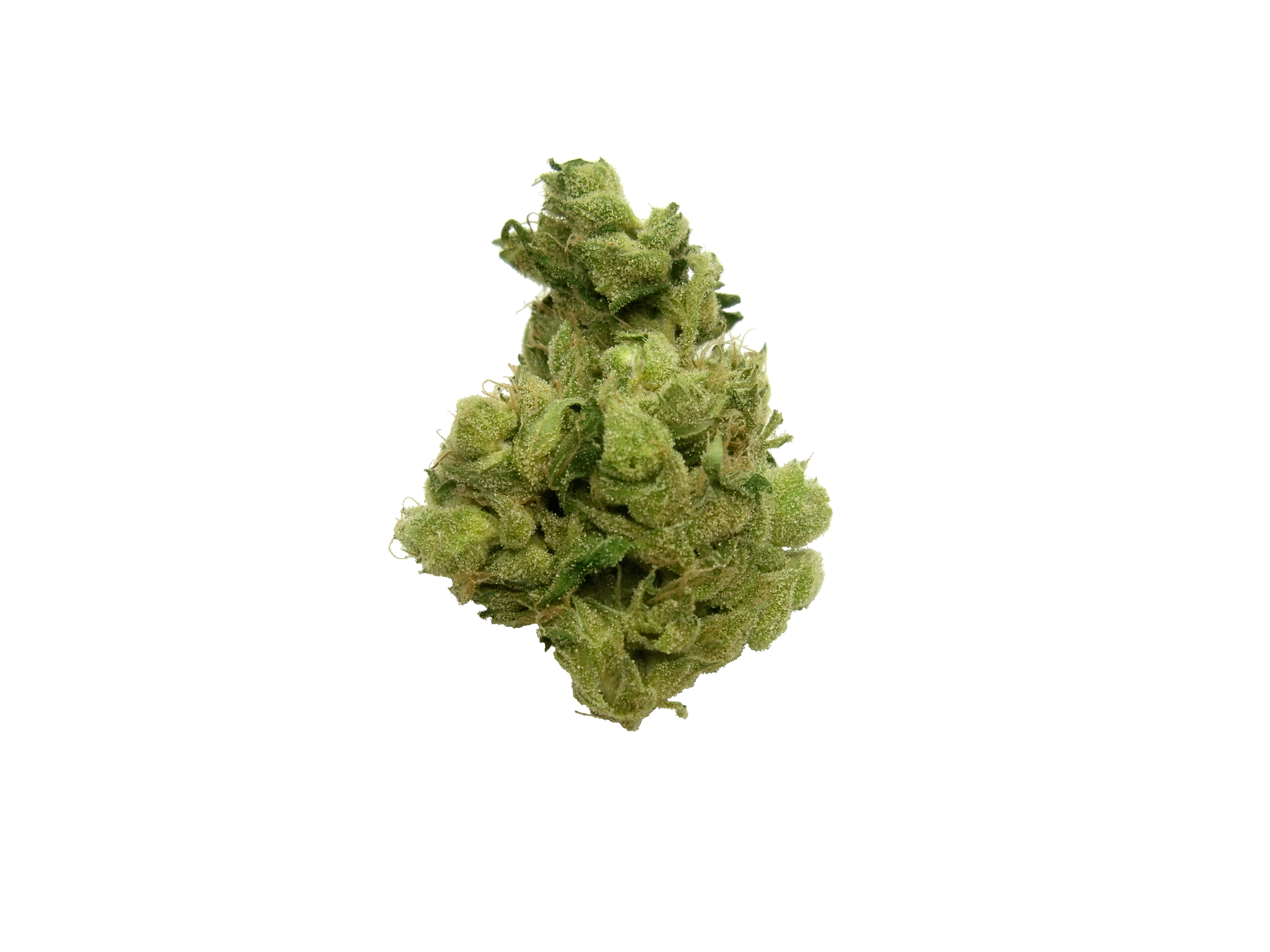 Photograph of product: Blue Cheese - 14g