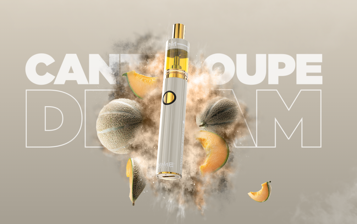 Photograph of product: DIME - Disposable - (S) Cantaloupe Dream 2g