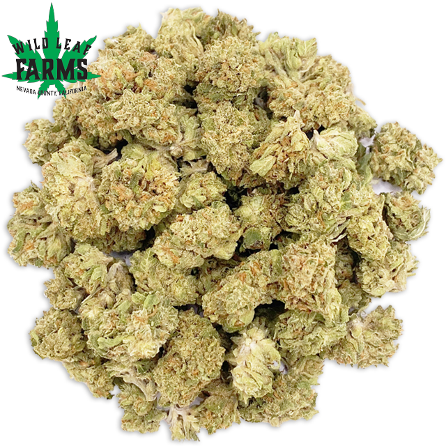 Photograph of product: THE LIME - SMALLS (3.5G)