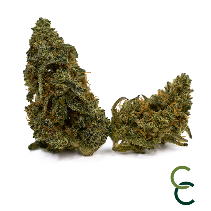 Photograph of product: Pineapple Donut - Live Soil - 3.5g