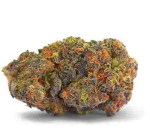 Photograph of Product: Gelato 33