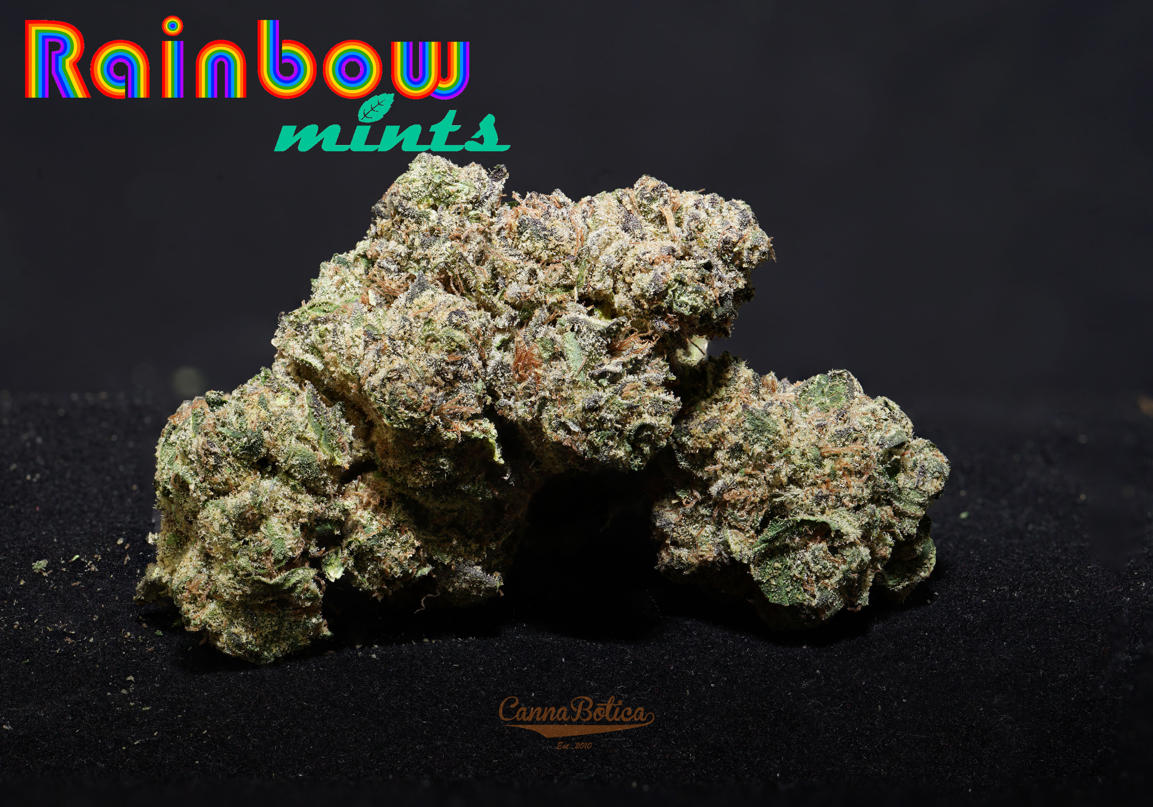 Photograph of product: Rainbow Mints -Oui'd/Hybrid - 1g