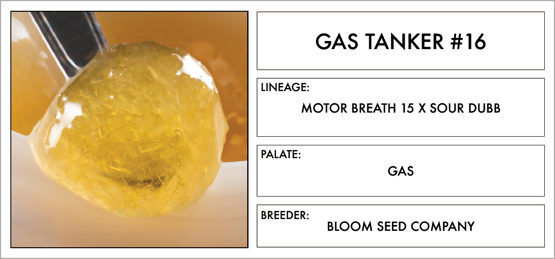 Photograph of product: Olio | Gas Tanker | 1g | Live Rosin