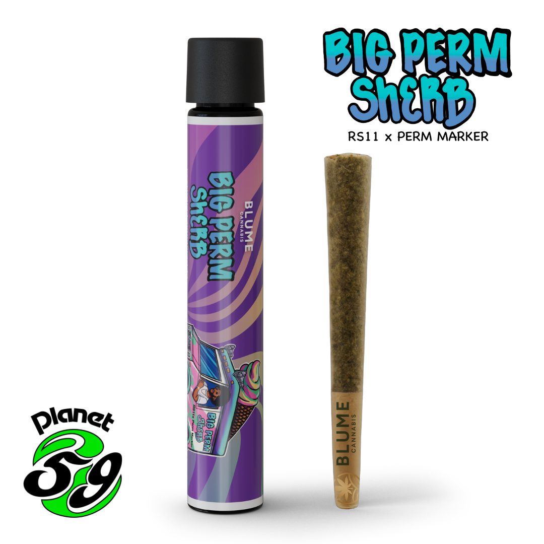 Photograph of product: Blume | Big Perm Sherb Preroll