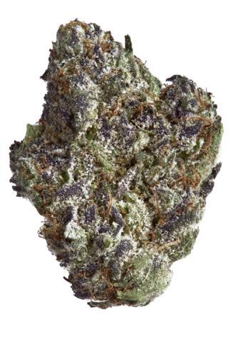 Photograph of product: Permanent Marker Buds by Goldkein - 2g