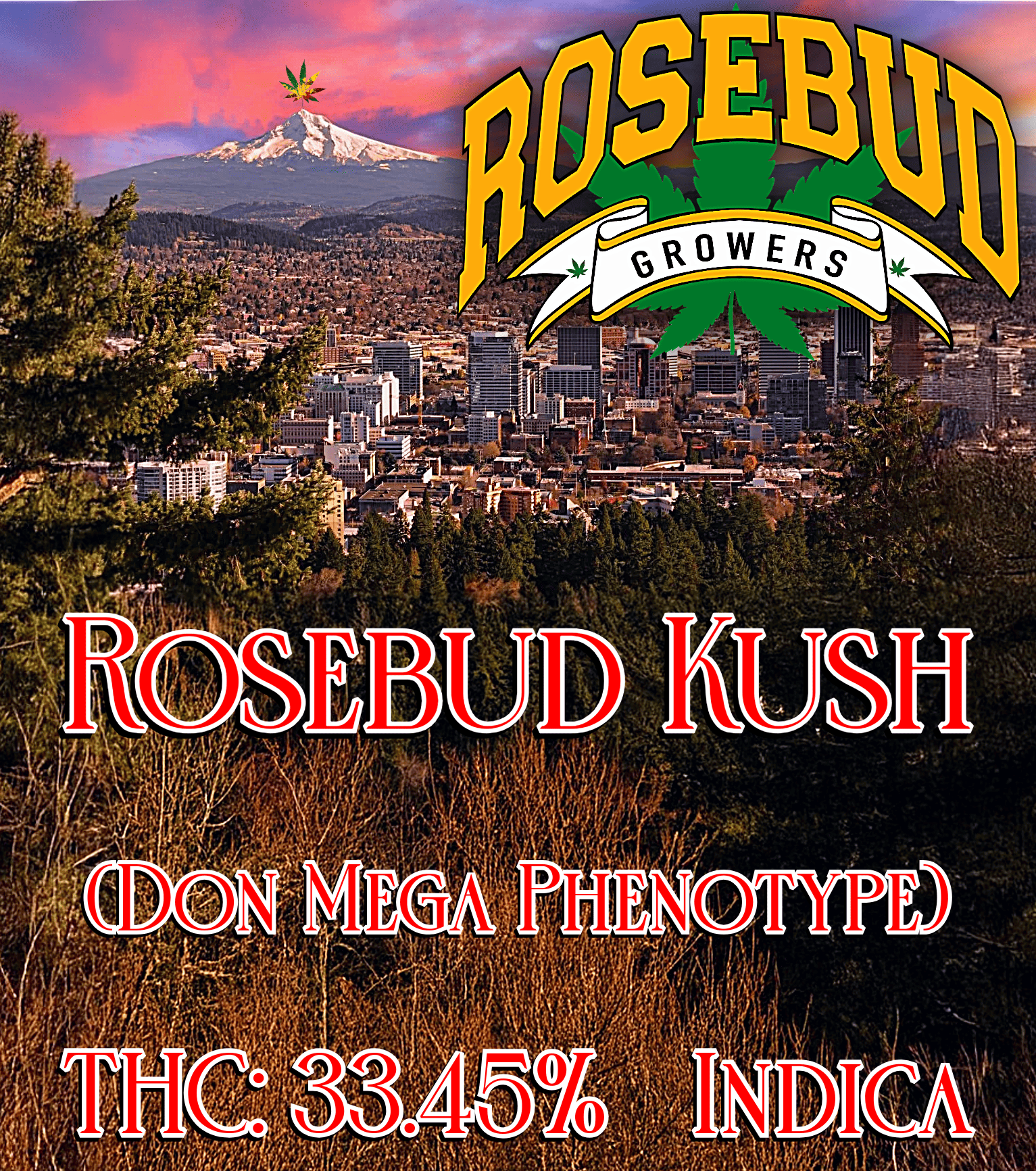 Photograph of product: Rosebud Kush (Rosebud Growers) - 28g