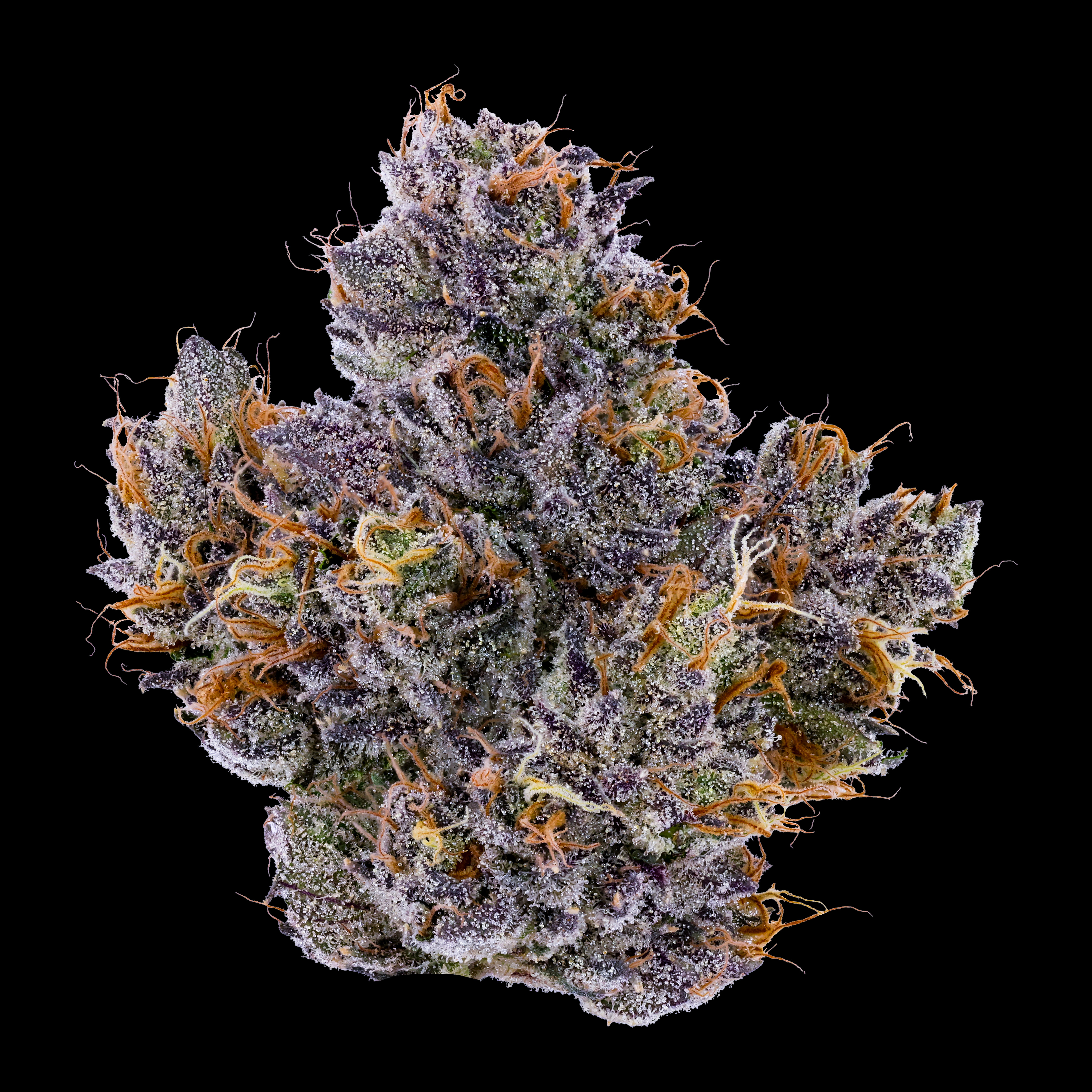 Photograph of product: Rapper Weed 8th (3.5g)