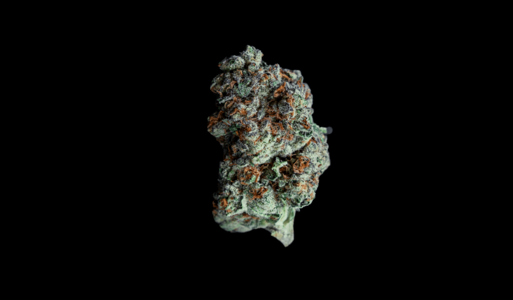 Photograph of product: FLOWERHOUSE | JAR FLOWER | GG#4 - 3.5g