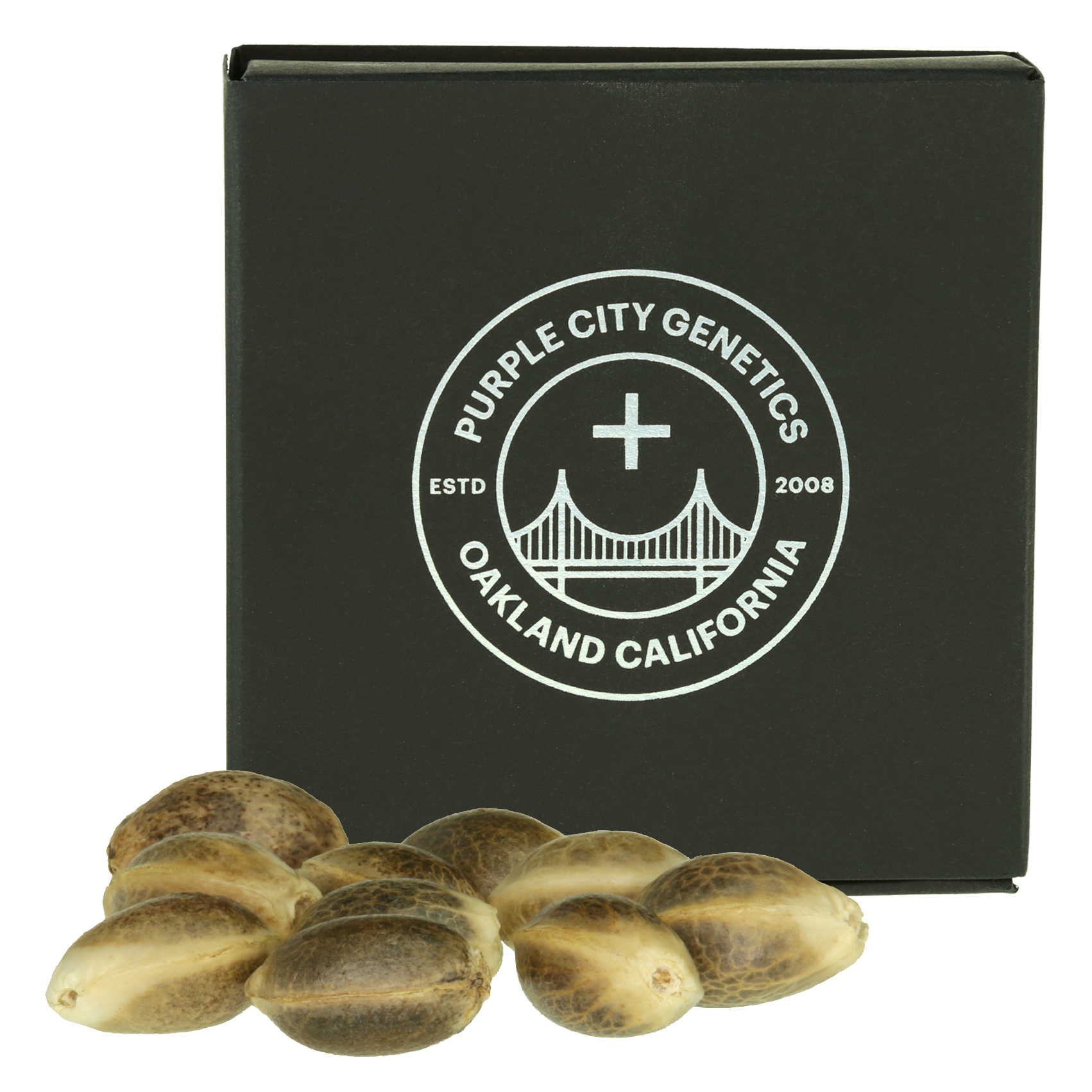 Photograph of product: Swayze - Oui'd Auto Fem. Oui'd Seeds 10pk | Purple City Genetics