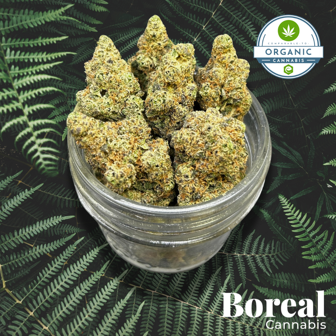 Photograph of product: Boreal | Grease Bucket | Bulk Flower - 28g