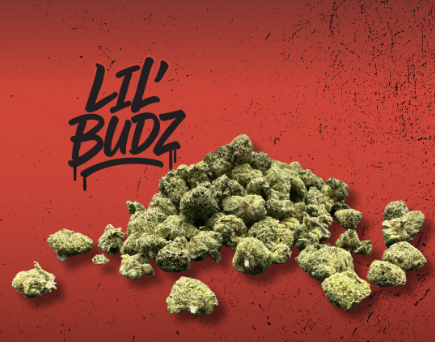 Photograph of product: Permanent Marker Lil' Budz 7g (I) 00273