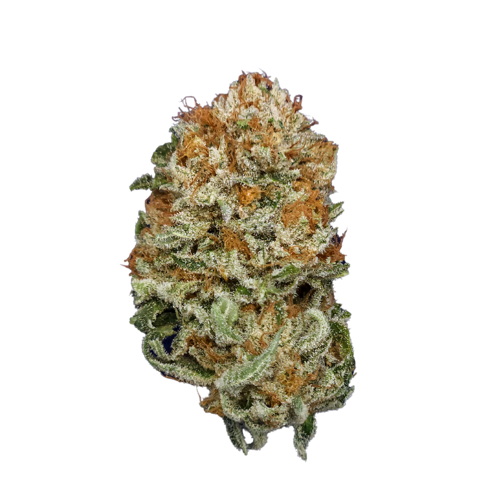Photograph of product: Angry Ginger I - 28g