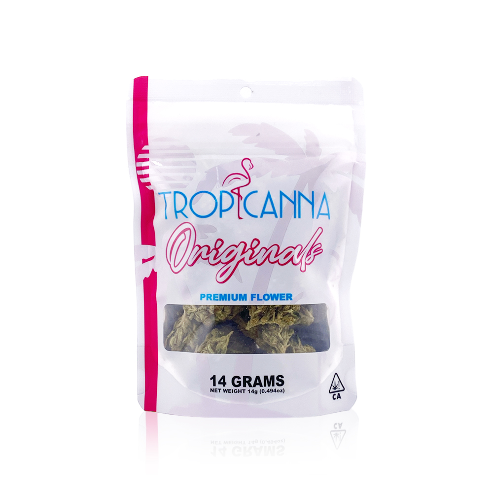 Photograph of product: TROPICANNA - Flower - Blueberry Headband - 14G