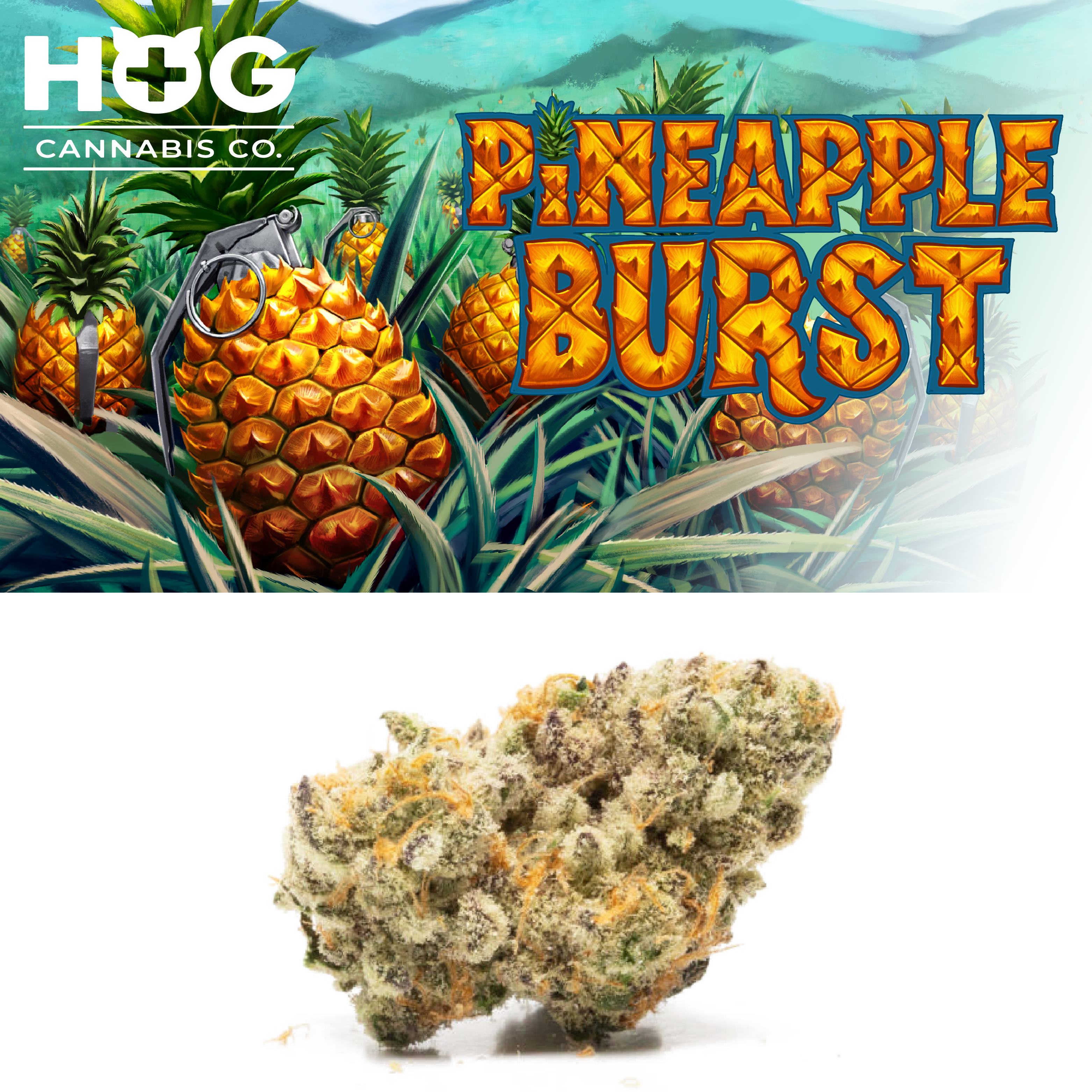 Photograph of product: HOG Pineapple Burst - 3.5g