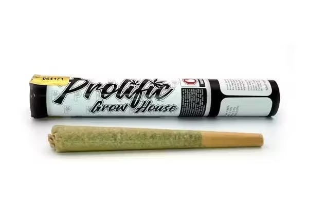 Photograph of product: Prolific 1g Preroll Bubba Kush