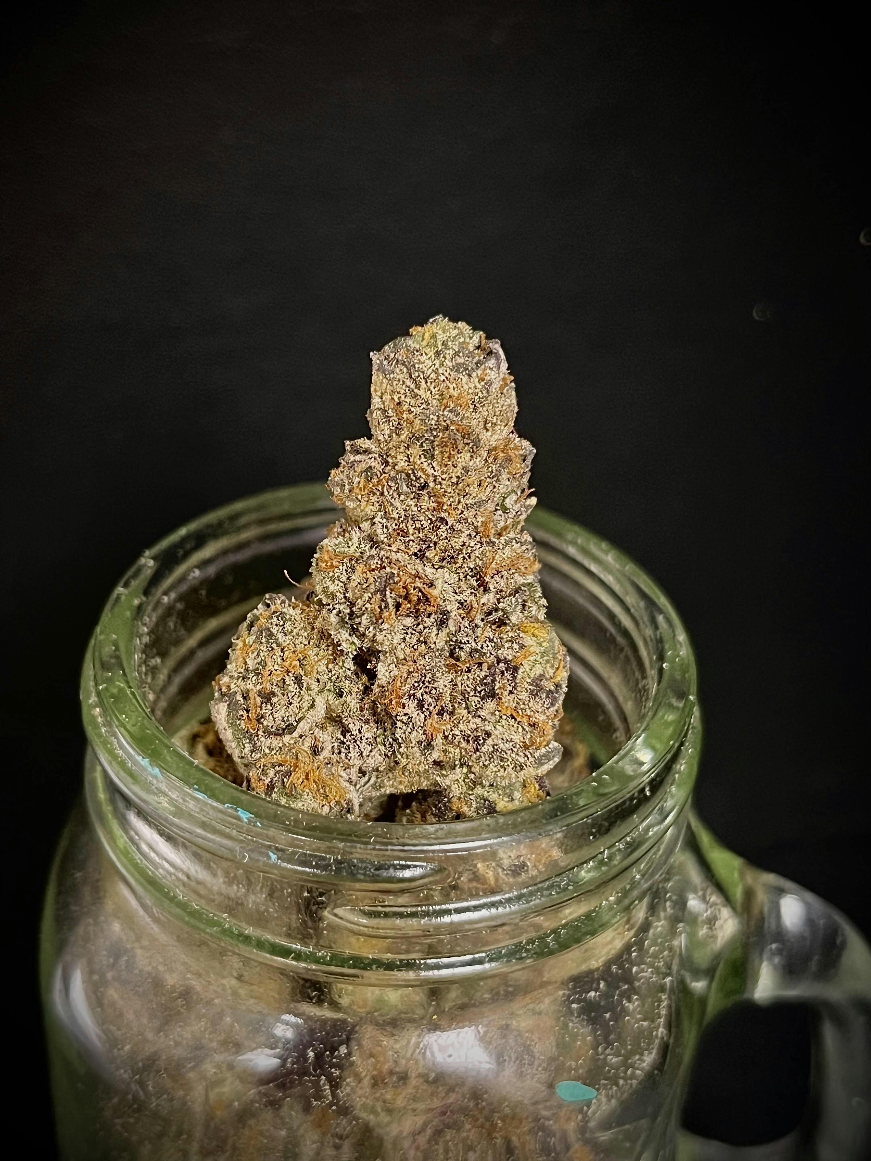 Photograph of product: Jelly School (Indico) "CONNOISSEUR SHELF" (1/2 OZ Special)
