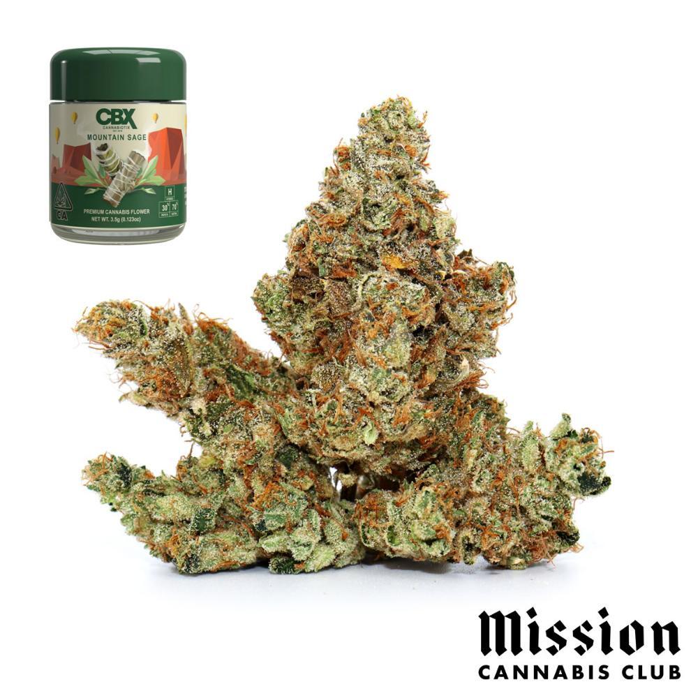Photograph of product: Mountain Sage - 3.5g