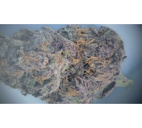 Photograph of product: Silvertip - FLOWER - 28g