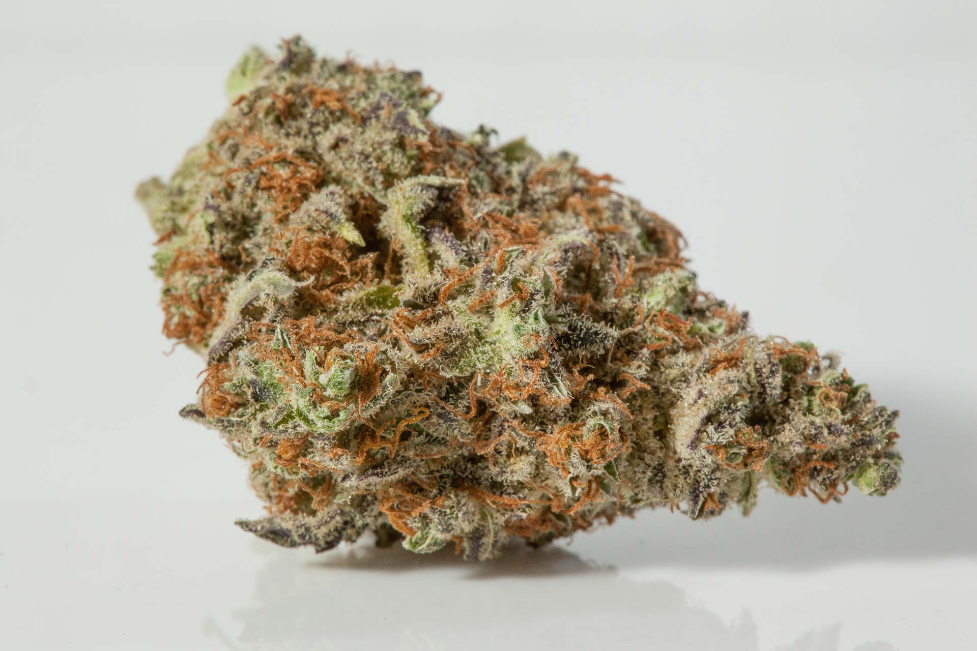 Photograph of product: ORANGE HERIJUANA HIGH CBD MINI BUDS 3.5G