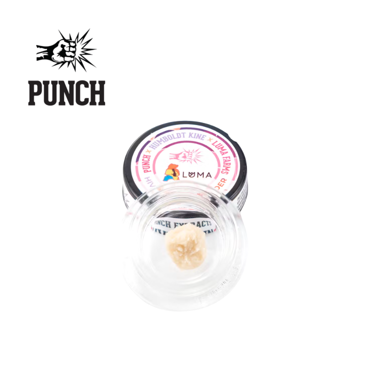 Photograph of product: HIVE BURGER 1G TIER 1 LIVE ROSIN BADDER