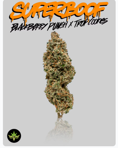 Photograph of product: [REC] Seed to Soul (EV) | Super Boof | 3.5g Flower