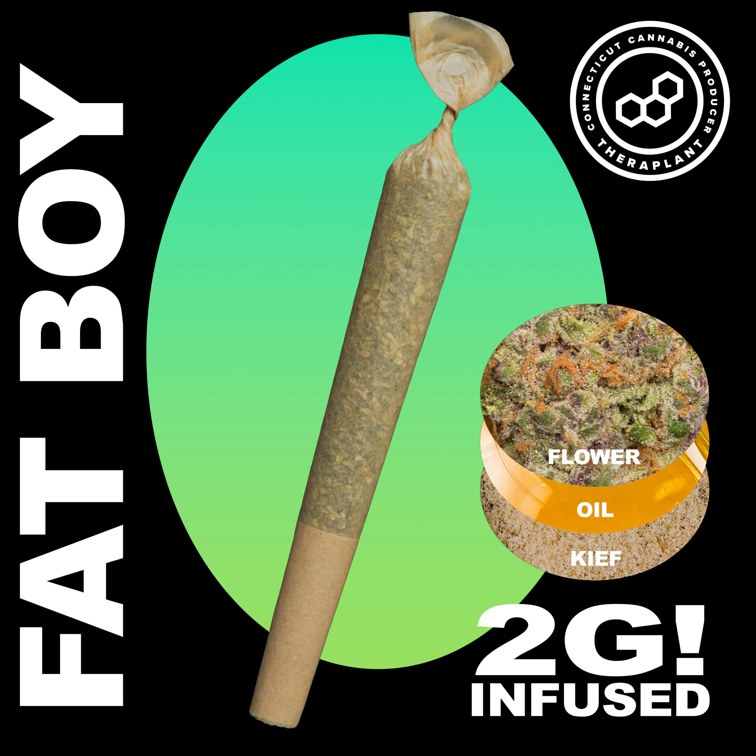 Photograph of product: Theraplant Blueberry Lato 2g Fatboy (H) 41115