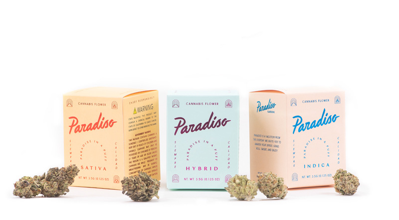 Photograph of product: $40 | Lost Coast Og Paradiso - 3.5g