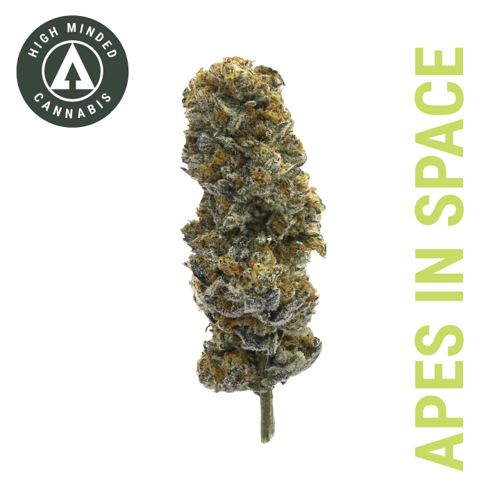 Photograph of product: Apes In Space - 3.5g