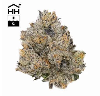 Photograph of product: Flower - Zeclair - 3.5g