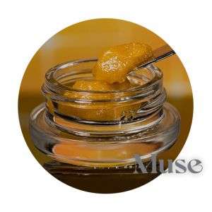 Photograph of product: Sunset Sherbet x Kush Mints Live Budder