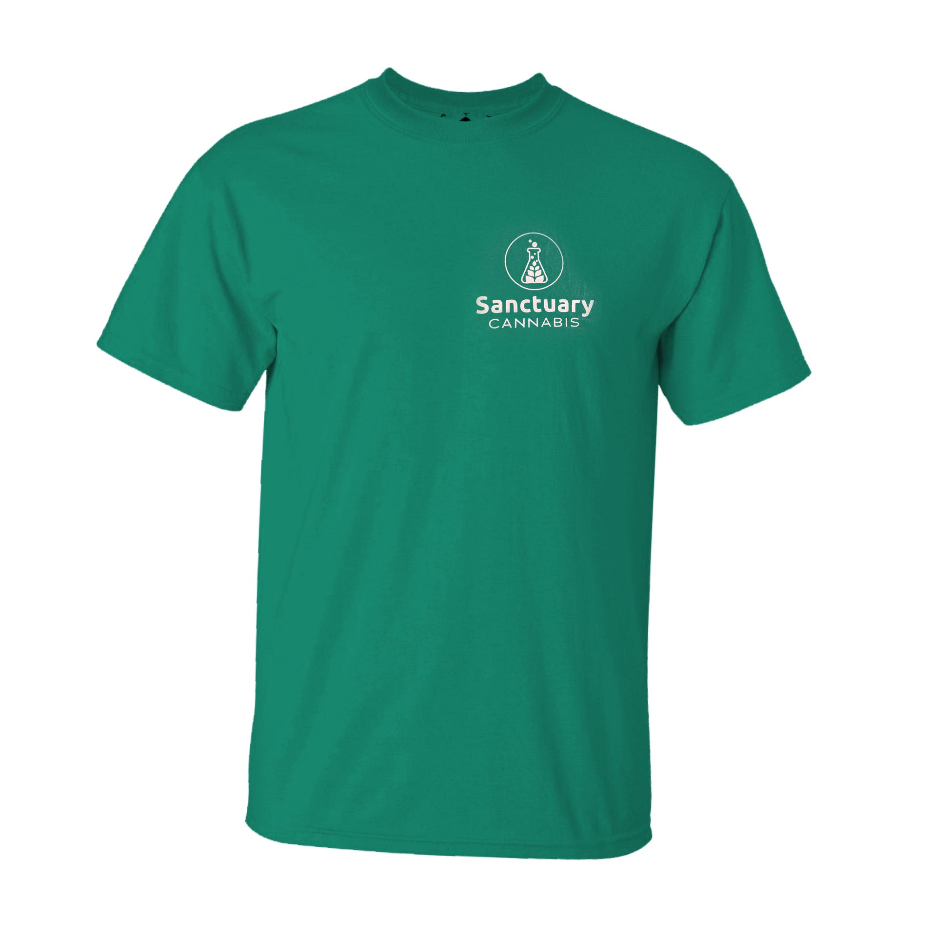 Photograph of product: Green Shirt - Large