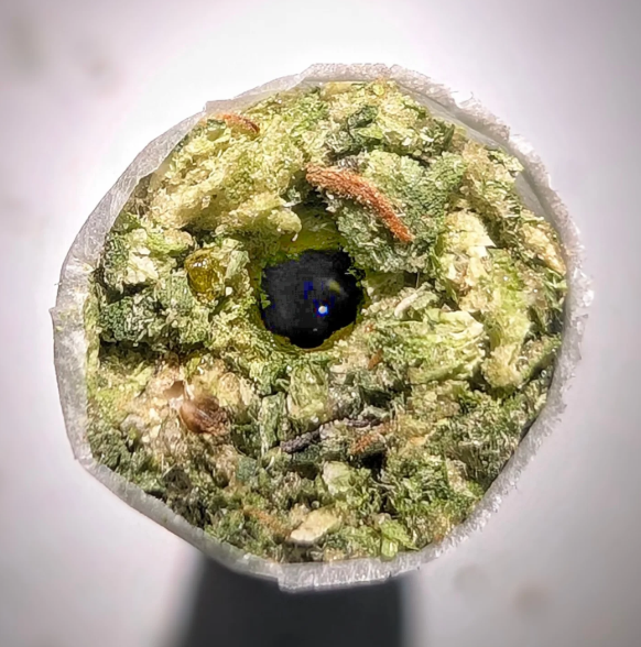 Photograph of product: Garlic Shack | 1.25G Jelly Roll Infused Preroll