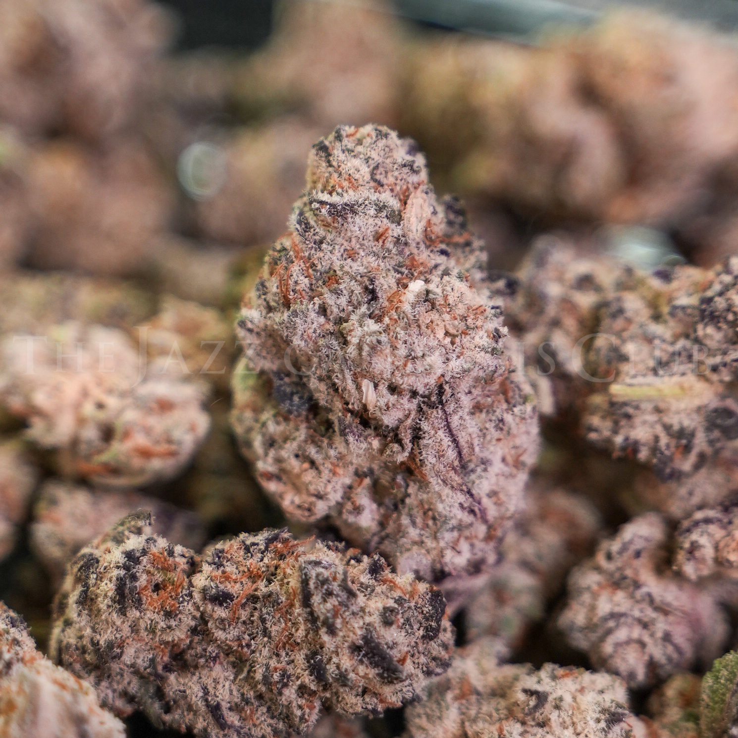 Photograph of product: Moon Blend - Bulk Flower - 28g