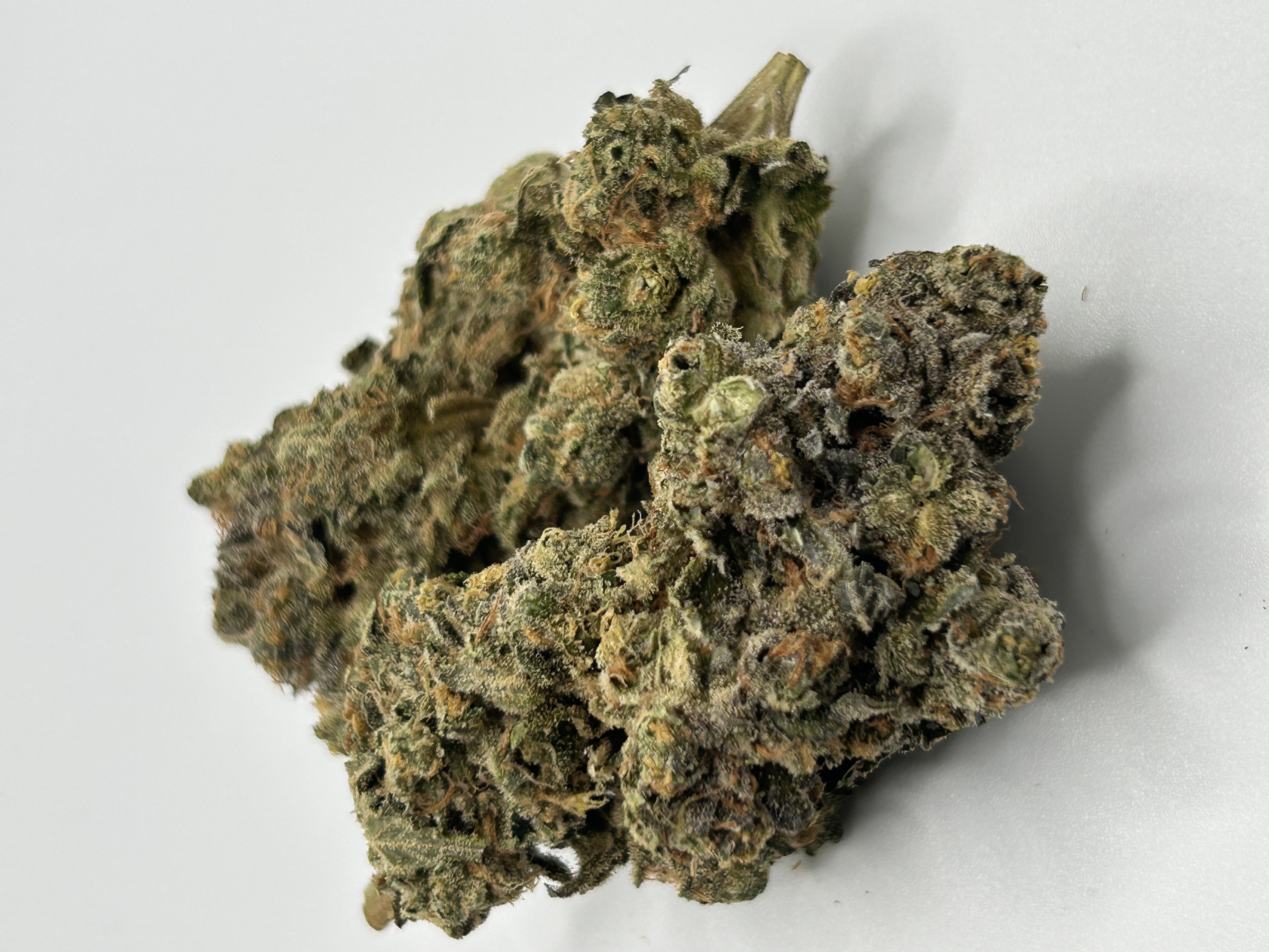 Photograph of product: Columbia Ice - 1g