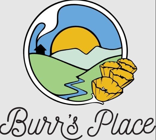 Photograph of product: Burr's Place .5g The Safety Break Preroll 25pk 26%