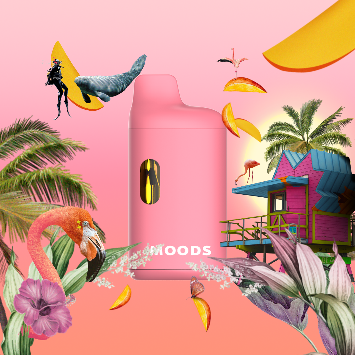 Photograph of product: Moods- 1g- Miami Vibes