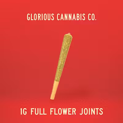 Photograph of product: Frosted Truffle Pie | 1G Preroll