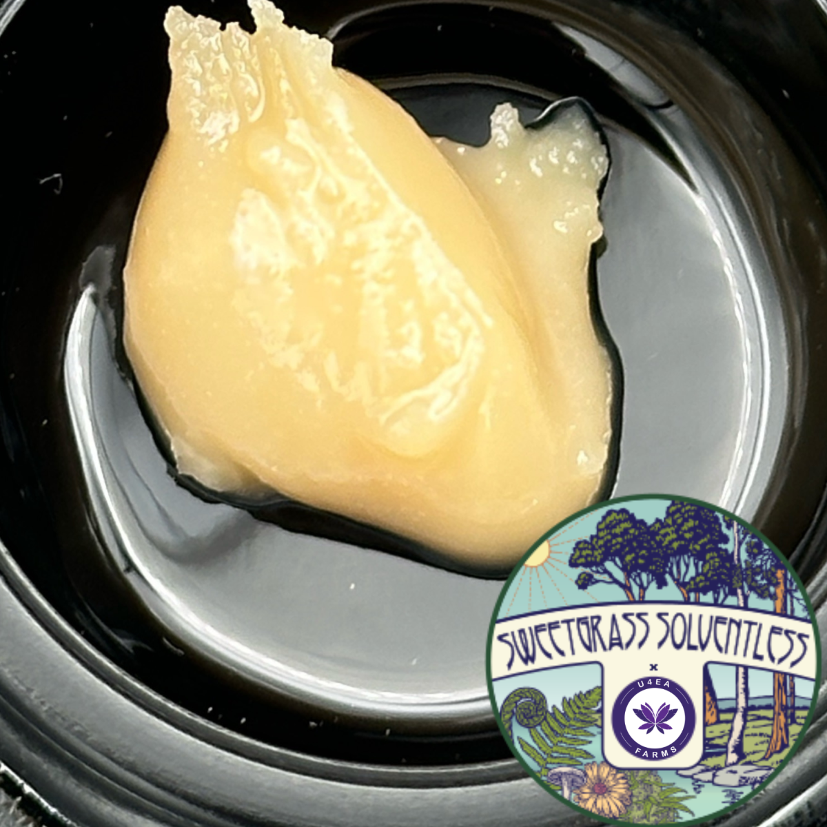 Photograph of product: U4ea Farms x Sweetgrass - Zoap - Live Rosin - 1g