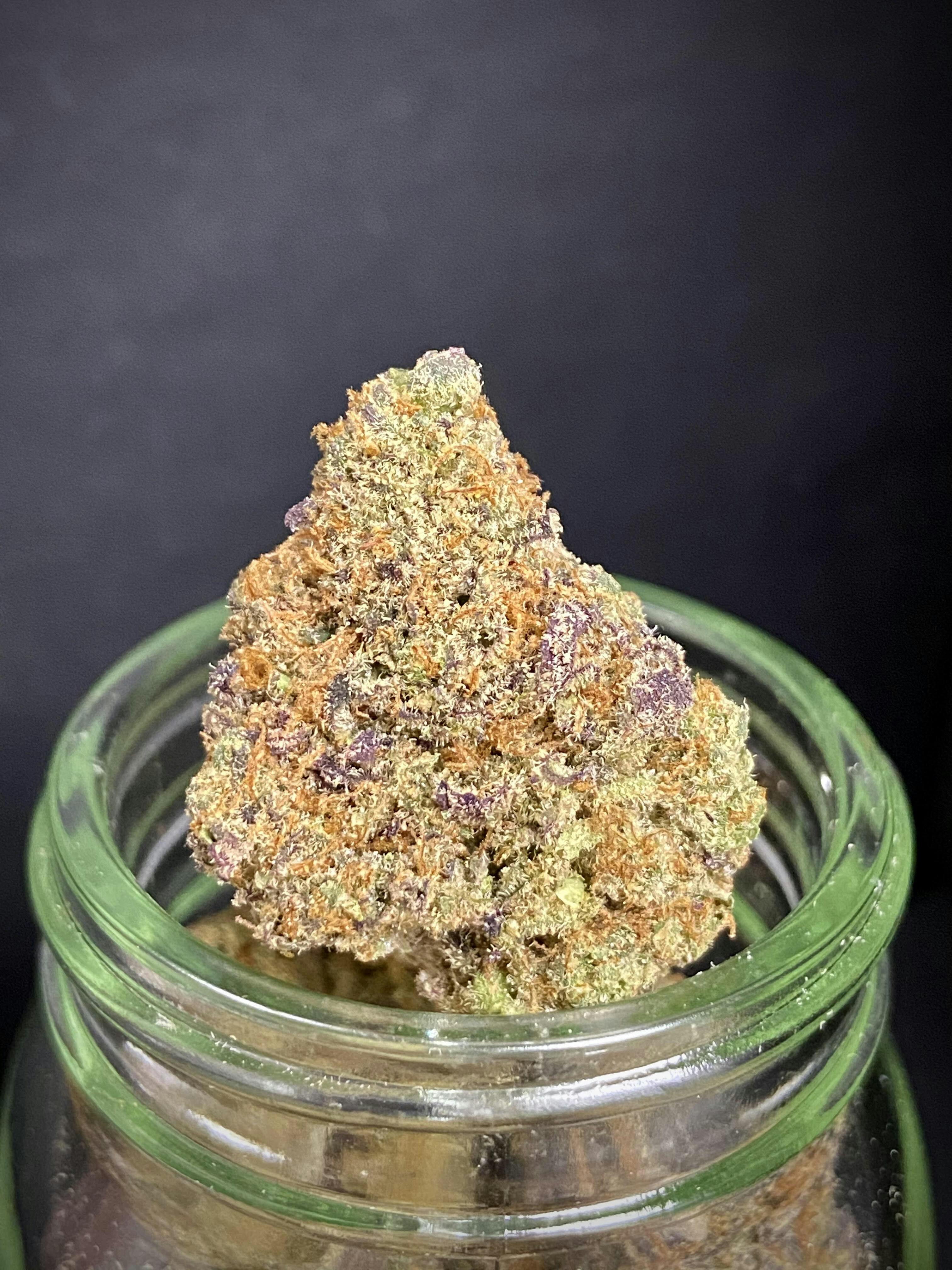 Photograph of product: Mandarin Sunset {Orange Skunk x Herijuana} (Indico) "CONNOISSEUR SHELF"