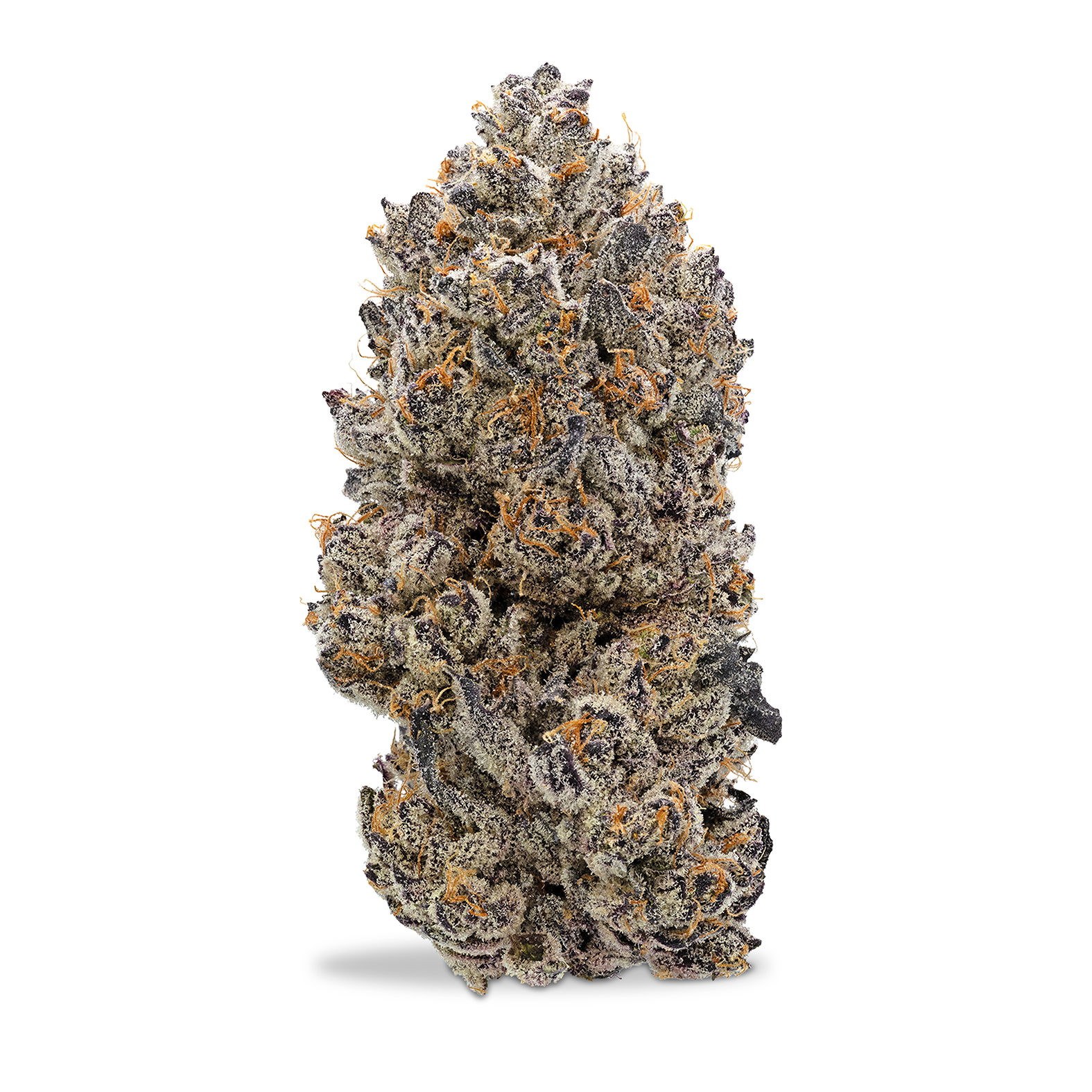 Photograph of product: Urban Canna - Yummy Yummy - 1g