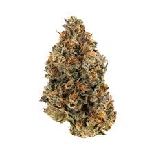 Photograph of product: Bold Cultivation Cali Kush Haze 3.5g Oui'd Flower
