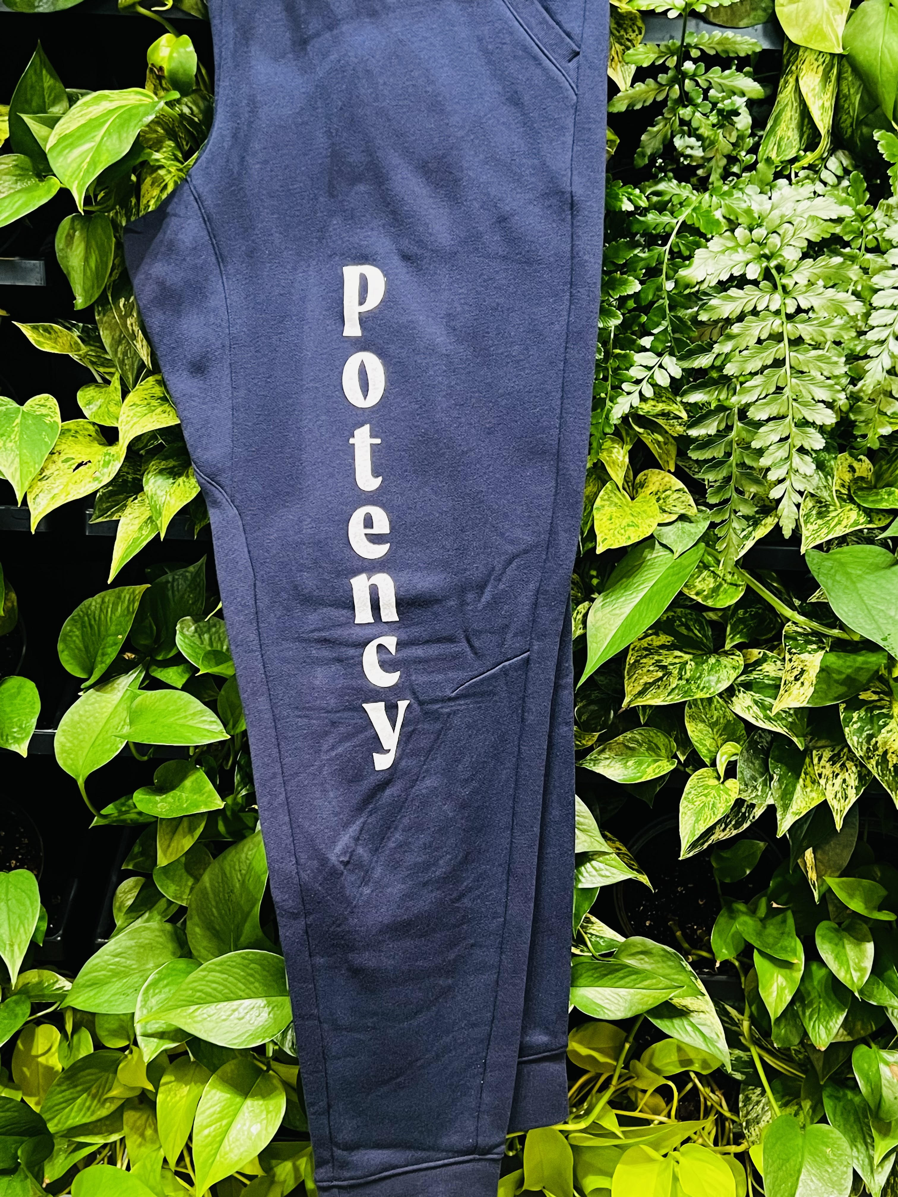 Photograph of product: Potency - Sport Tek - Fleece Joggers - Navy M/L/XL
