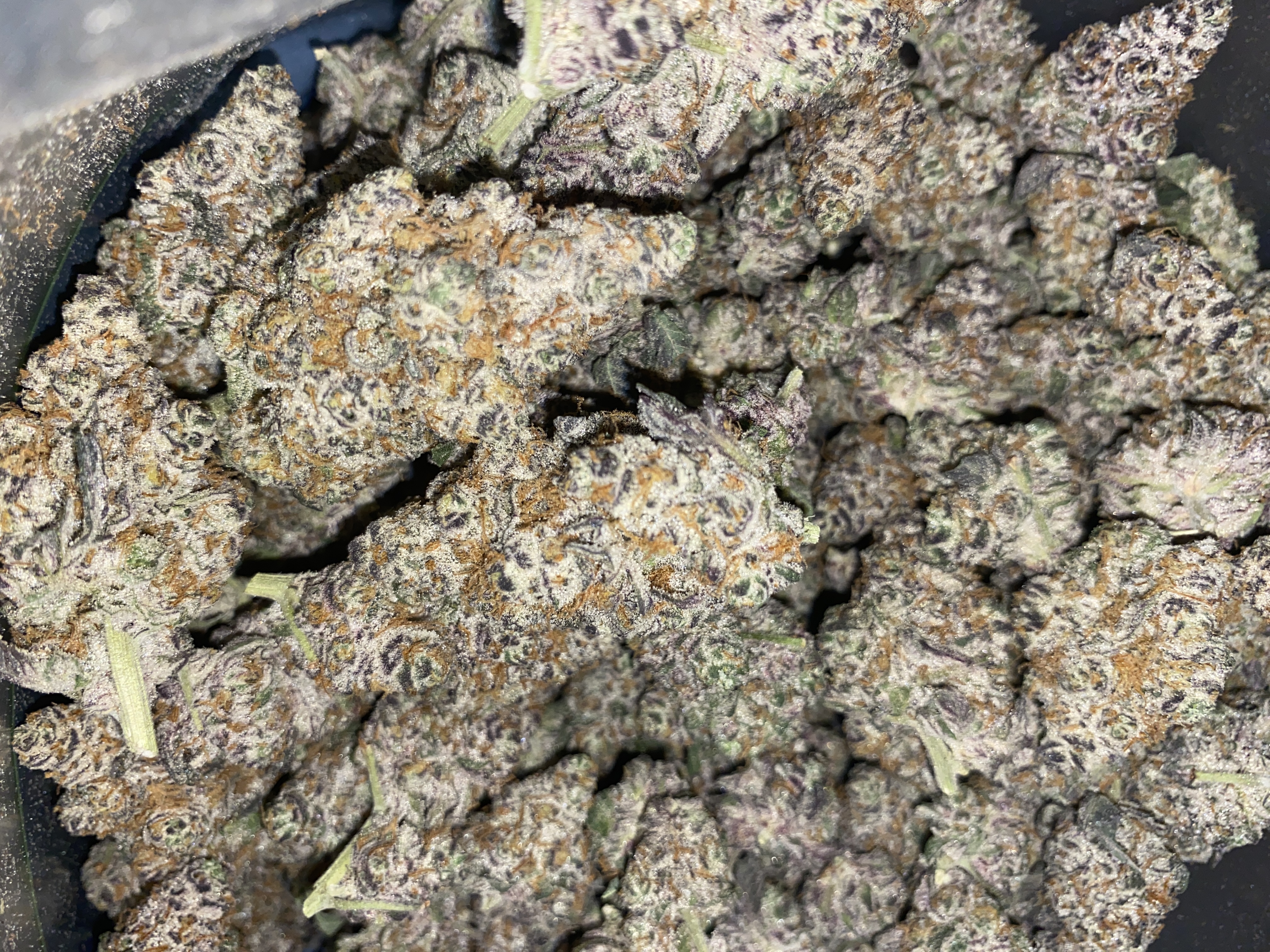 Photograph of product: Garlic Breath | Premium Flower - 7g