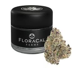 Photograph of product: Floracal La La Land 3.5g Prepack